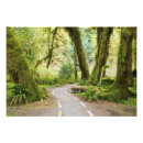 Buscar el caminar posters Parque nacional