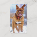 Buscar caminante del perro tarjetas de visita Para mascotas
