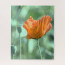 Buscar amapola puzzles Rojo