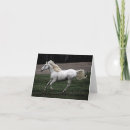 Buscar caballo blanco tarjetas Salvaje