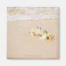 Buscar brasil imanes Naturaleza