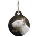 Buscar terrieres mascotas Perro