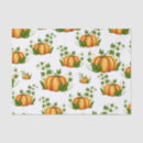 Buscar calabaza papel de seda Otoño