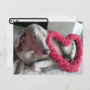 Buscar weimaraner postales Perro