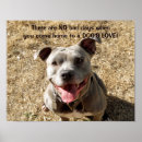 Buscar mi pitbull posters General y unisex