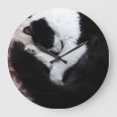 Buscar gato blanco y negro relojes de pared Gatos