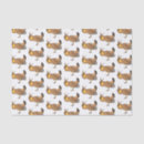 Buscar pollos papel de seda General y unisex