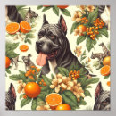 Buscar cane corso arte Perro
