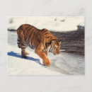 Buscar siberia postales Animales