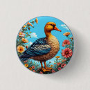 Buscar pato chapas Colorido