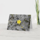 Buscar buzón tarjetas Fotografía