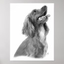 Buscar setter irlandés posters Adorable