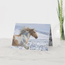 Buscar caballo salvaje tarjetas Equino