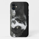 Buscar border collie iphone fundas Perrito