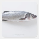 Buscar sealife pegatinas Animal