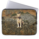 Buscar tigre ipad fundas Vida silvestre