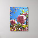Buscar flores de cerezo lienzos Árbol