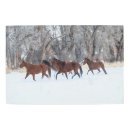 Buscar manada de caballos posters Rancho de escondite