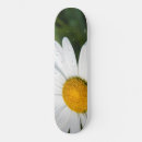 Buscar mañana tablas de skate Naturaleza