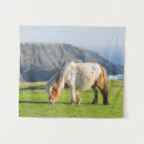 Buscar islas shetland Islas del norte
