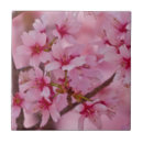 Buscar flores japonesas azulejos Sakura