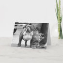 Buscar american staffordshire terrier tarjetas Perro