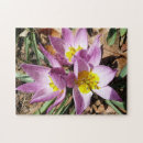 Buscar cruz puzzles Naturaleza