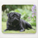 Buscar carlin alfombrillas de raton Negro