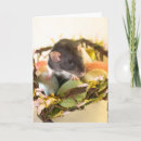Buscar cesta tarjetas de pascua Flores