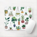 Buscar planta alfombrillas de raton Amante de las plantas