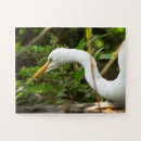 Buscar caza puzzles Para niños