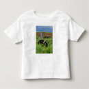 Buscar palouse camisetas Majestuoso