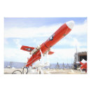 Buscar abejones fotografía Uav