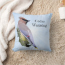 Buscar waxwing Deslumbrante