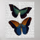 Buscar mosca de la mosca posters Animales