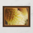 Buscar antorchas postales Para ella