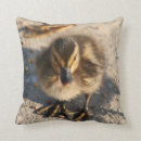 Buscar patos silvestres cojines Animales