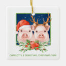 Buscar cerdos adornos Para ellos