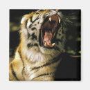 Buscar boquilla imanes 10 º dentadura