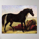 Buscar caballo árabe posters Negro