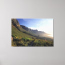 Buscar ciudad del cabo lienzos Capital