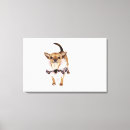 Buscar extraño mascotas Fotografía