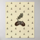 Buscar ardilla adorable posters Ardillas
