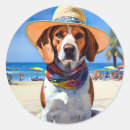 Buscar amante del beagle pegatinas Para todos