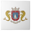 Buscar puerto rico azulejos Boricua