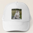 Buscar foto del perro gorras Crea el tuyo propio