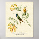 Buscar pájaros amarillos posters Floral