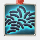 Buscar bacterias adornos Médico