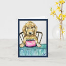 Buscar goldendoodle tarjetas Perros