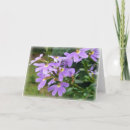 Buscar tolerancia tarjetas Fotografía